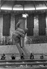 -.  1981